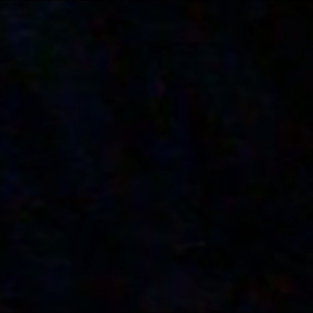 Meet your Posher, Maz